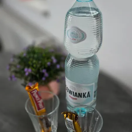 Belvedere Lawica Airport Apartmán