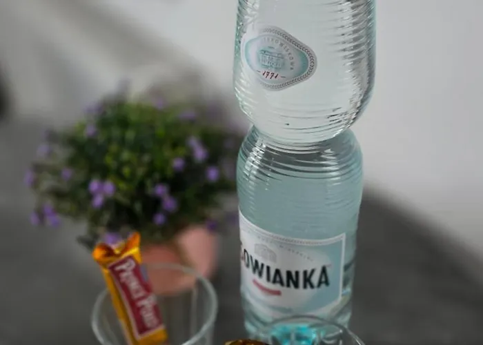 Belvedere Lawica Airport Apartment